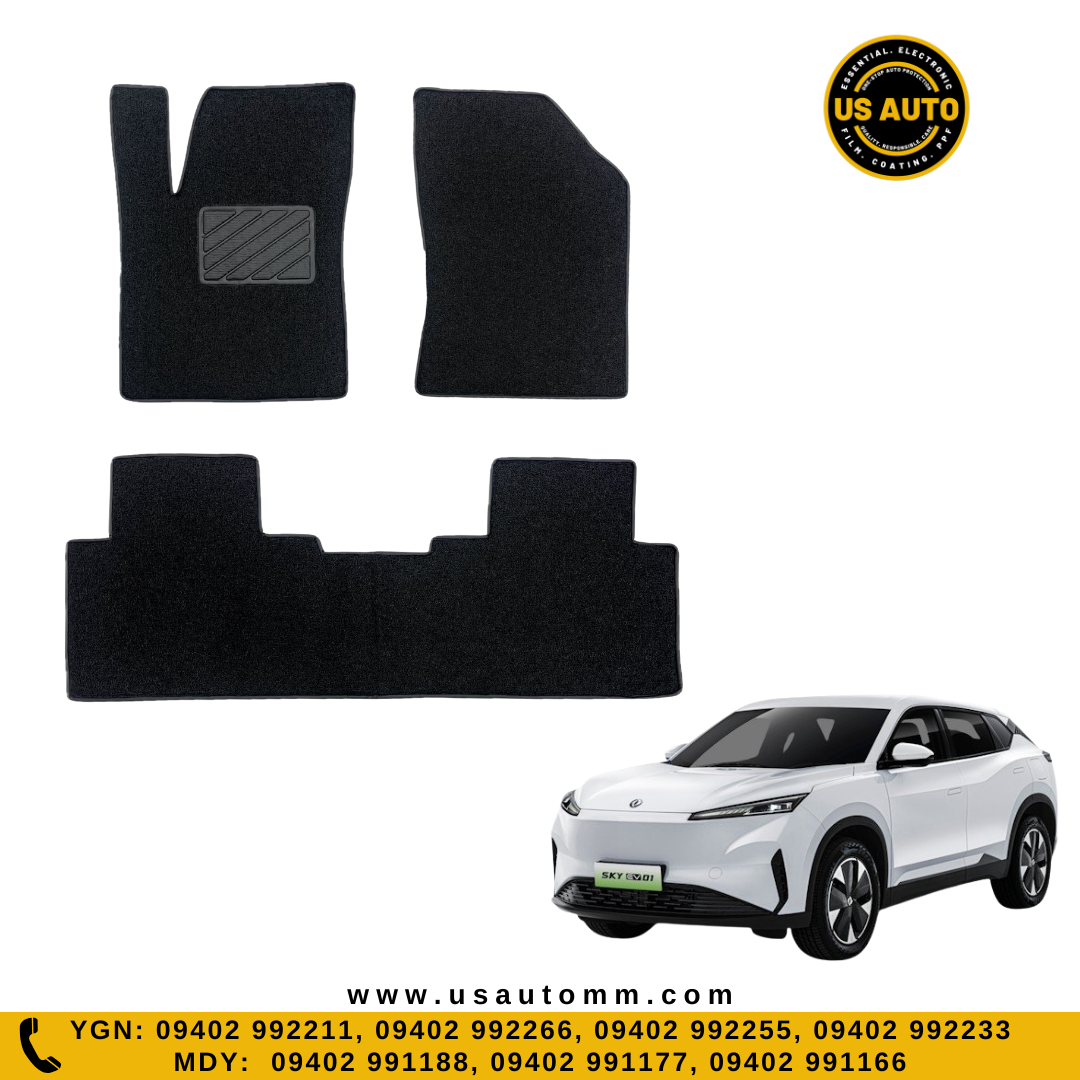 COIL MAT FLOOR MAT (2)ROWS (BLACK) DONGFENG SKY EV