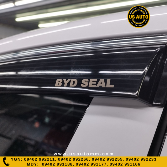 DOOR VISOR STEEL (C) (4D) BYD SEAL EV