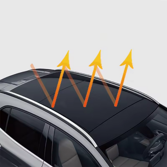 SUNROOF_PPF_BLACK_SQFT1