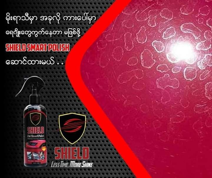 SMART 2 IN 1 POLISH_SHIELD
