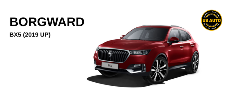 BORGWARD BX5 (2019 UP)