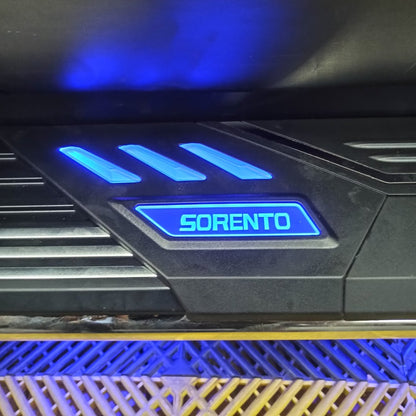 SIDE STEP LED LIGHTING ONE SET_KIA SORENTO (2021~2022)