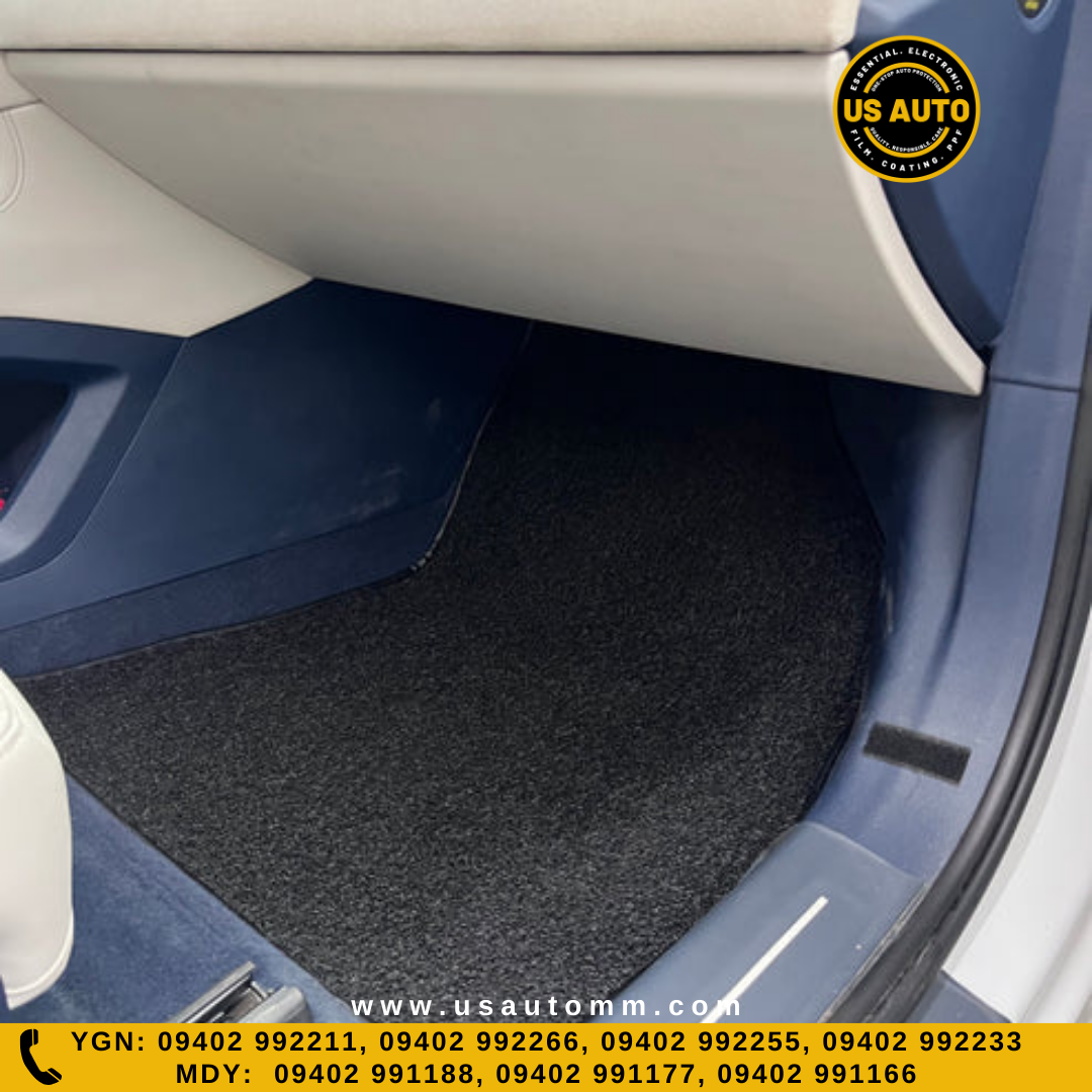 COIL MAT FLOOR MAT (2)ROWS (BLACK) ZEEKR 001 EV