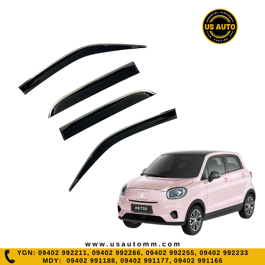 DOOR VISOR STEEL (C) (4D) LEAP T03 EV