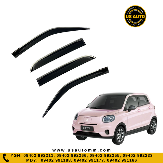 DOOR VISOR STEEL (C) (4D) LEAP T03 EV