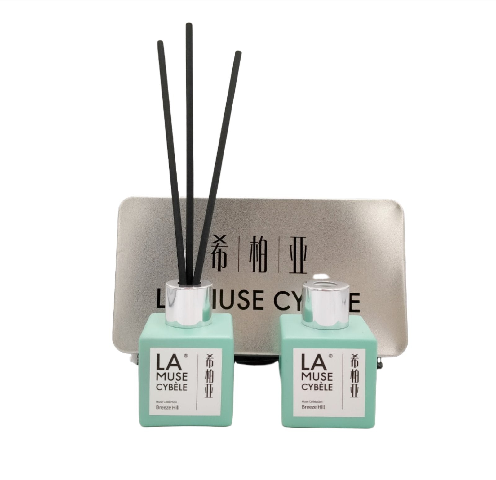 LA MUSE AROME REED DIFFUSER (DOUBLE BOTTLE) BREEZE & HILL