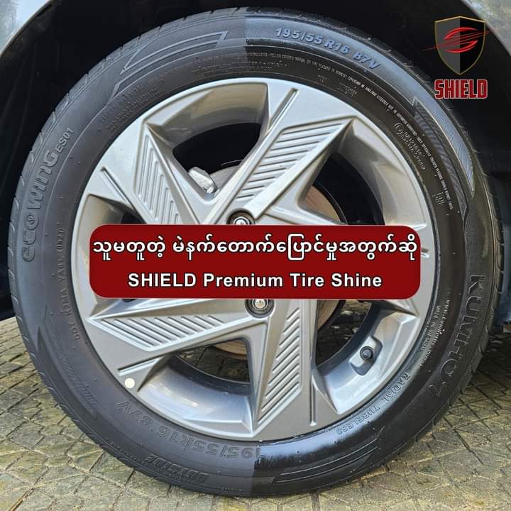 PREMIUM TIRE SHINE SHIELD